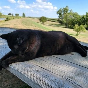 Meet your Posher, Janet